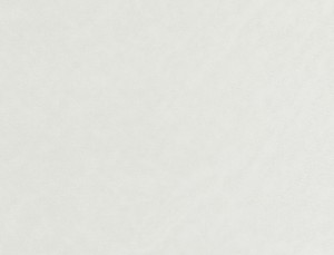 Tkanina Ridex Interior Fabrics Primo Fr 04