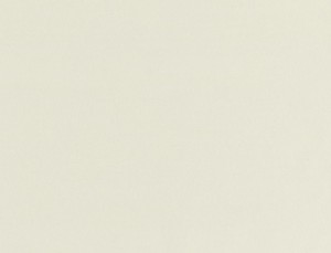 Tkanina Ridex Interior Fabrics Primo Fr 06