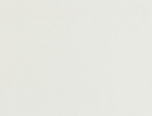 Tkanina Ridex Interior Fabrics Primo Fr 07