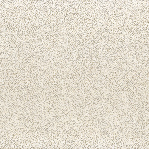 c4a0d5dbb92975cf90cff9b6f6387604