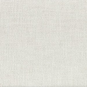 Tkanina Casamance A48623249 Dune 2 ze wzorem Tekstura