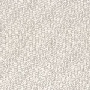 Tkanina Casamance Taiga 2 A45940931 Taiga ze wzorem Tekstura