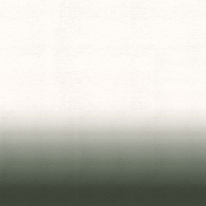 Tkanina Casamance Winiona 3 A48600746 Winiona Whiteze wzorem Gradient