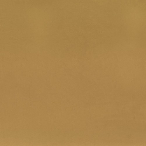 22f05d7c8fbd345c4df3d59759251944