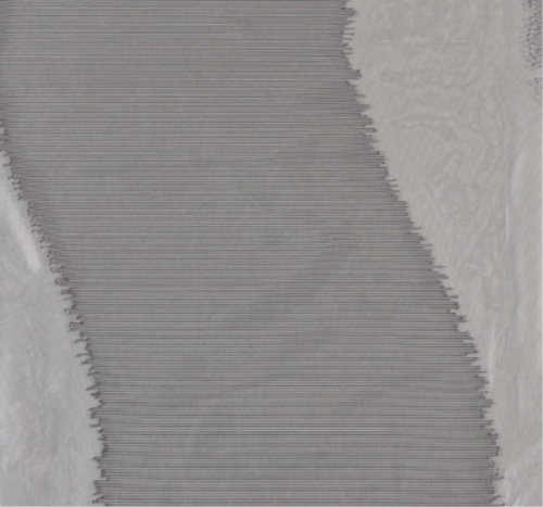 T017830005[1].jpg