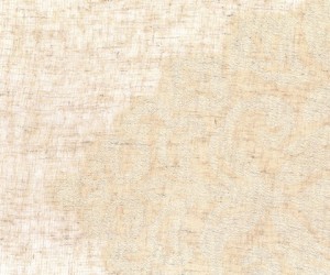 Tkanina Aldeco 02 Belize ze wzorem Damask