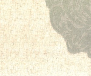 Tkanina Aldeco 06 Belize ze wzorem Damask