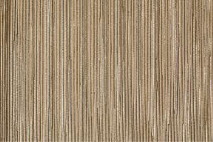 Tkanina Aldeco 06 Believe Fr ze wzorem Tekstura