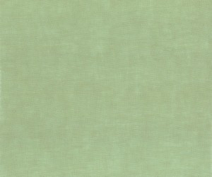 Tkanina Aldeco 05 Better ze wzorem Tekstura