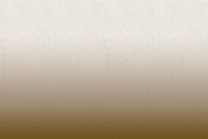 Tkanina Aldeco 02 Degrade ze wzorem Gradient