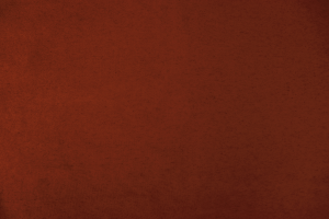 Tkanina Aldeco 05 Ensembles Velvet ze wzorem Tekstura