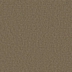 Tkanina Zimmer + Rohde 885 Andro Plus ze wzorem Tekstura