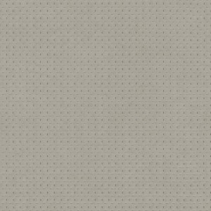 Tkanina Zimmer + Rohde 991 Atacama ze wzorem Tekstura