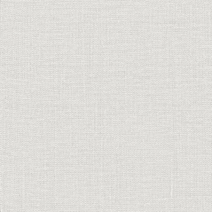 Tkanina Zimmer + Rohde 891 Brushed Linen ze wzorem Tekstura