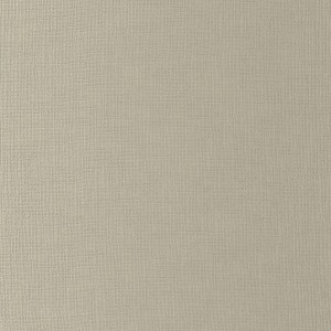 Tkanina Camengo Amitola 44450983 Amitola ze wzorem Płótno