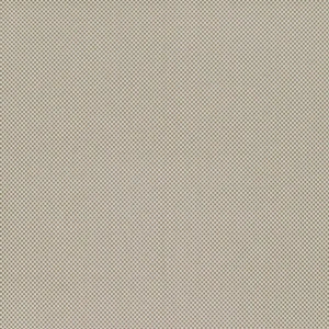 Tkanina Zimmer + Rohde 894 Caribbean Check ze wzorem Tekstura