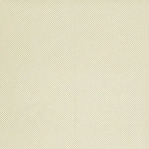 Tkanina Zimmer + Rohde 981 Caribbean Check ze wzorem Tekstura