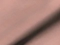 592f8a3c2e7339927c3d66f3a2d76a93