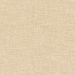 Tkaniny Camengo Biarritz 2 41963810 Biarritz 2 ze wzorem Gładkie Płótno