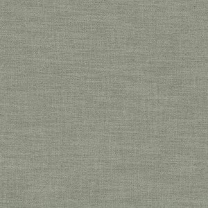 Tkaniny Camengo Biarritz 2 41964772 Biarritz 2 ze wzorem Gładkie Płótno