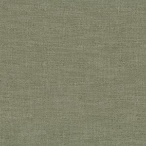 Tkaniny Camengo Biarritz 2 41964875 Biarritz 2 ze wzorem Gładkie Płótno