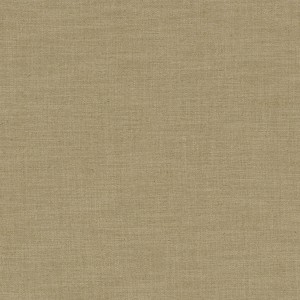 Tkaniny Camengo Biarritz 2 41964981 Biarritz 2 ze wzorem Gładkie Płótno