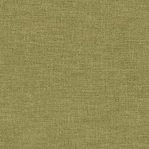 Tkaniny Camengo Biarritz 2 41965063 Biarritz 2 ze wzorem Gładkie Płótno