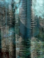 f77c6fb5aebf43160c37ec76a29feae0
